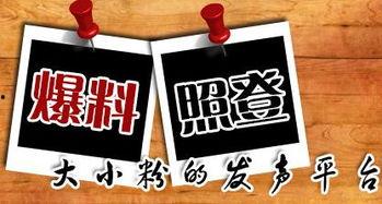 兰州新闻爆料平台官网,聚焦城市脉搏，传递市民声音